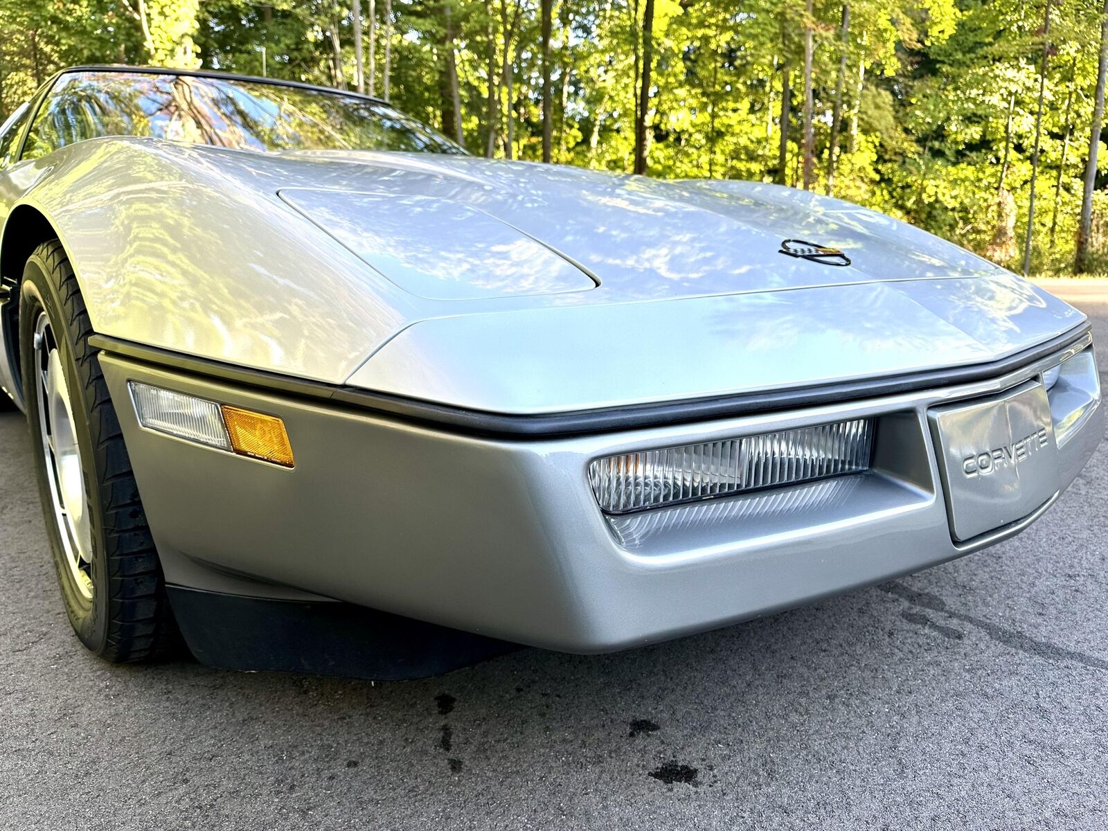 Chevrolet-Corvette-Coupe-1985-Silver-Gray-32142-17