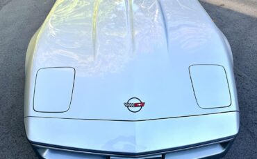 Chevrolet-Corvette-Coupe-1985-Silver-Gray-32142-18