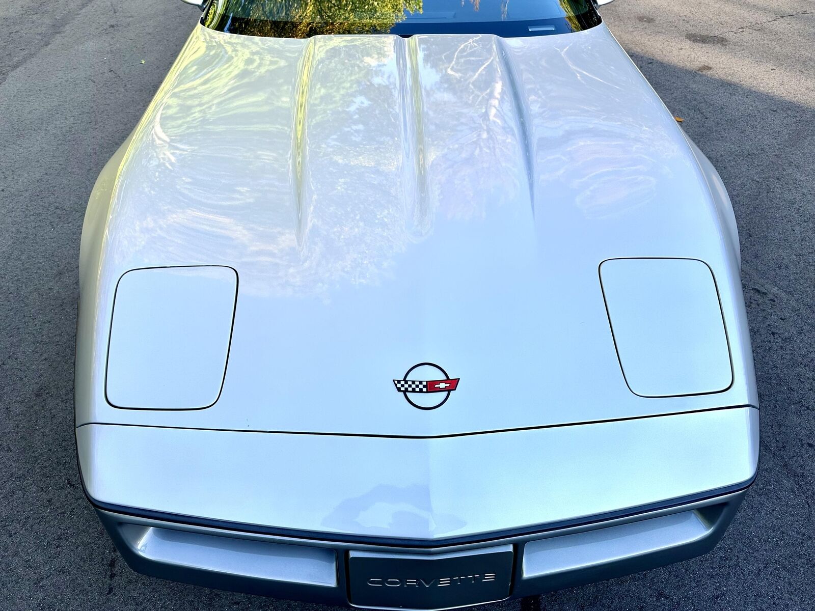 Chevrolet-Corvette-Coupe-1985-Silver-Gray-32142-18