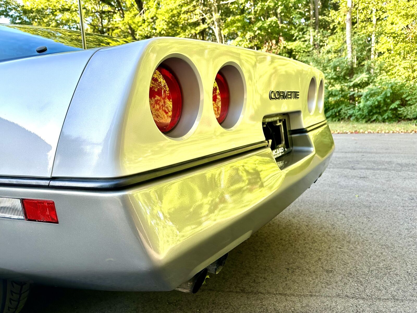 Chevrolet-Corvette-Coupe-1985-Silver-Gray-32142-28