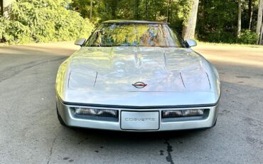 Chevrolet-Corvette-Coupe-1985-Silver-Gray-32142-7