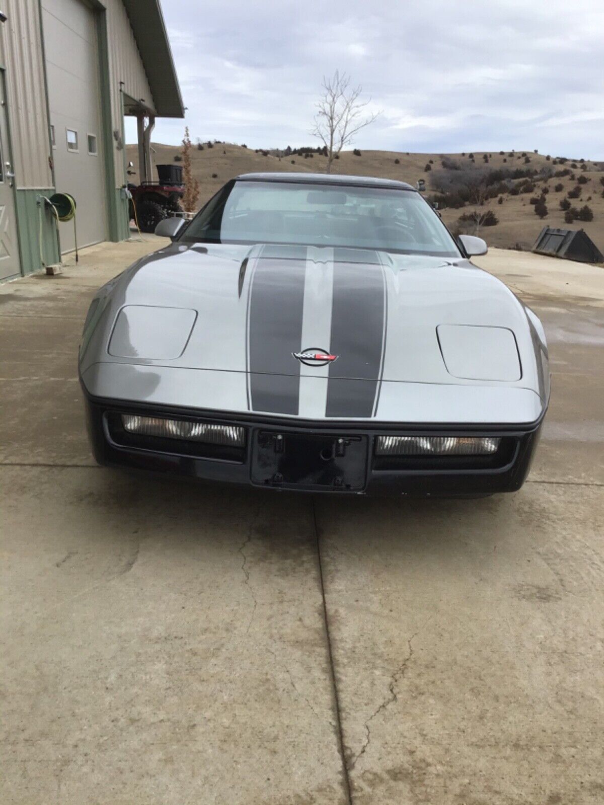 Chevrolet-Corvette-Coupe-1986-Silver-Black-186571-3