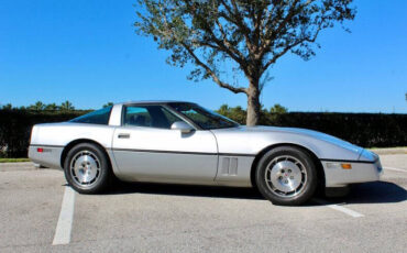 Chevrolet-Corvette-Coupe-1986-Silver-Gray-61018-2