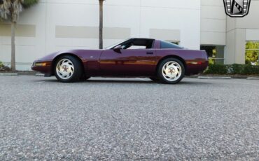 Chevrolet-Corvette-Coupe-1993-Red-Red-51010-10