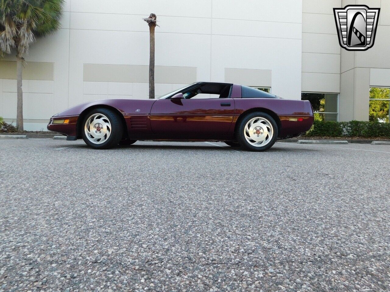 Chevrolet-Corvette-Coupe-1993-Red-Red-51010-10