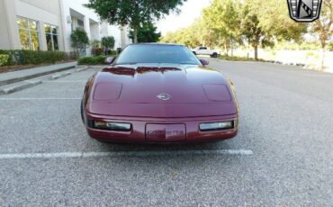 Chevrolet-Corvette-Coupe-1993-Red-Red-51010-2