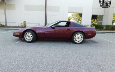 Chevrolet-Corvette-Coupe-1993-Red-Red-51010-5