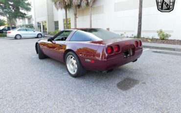 Chevrolet-Corvette-Coupe-1993-Red-Red-51010-9