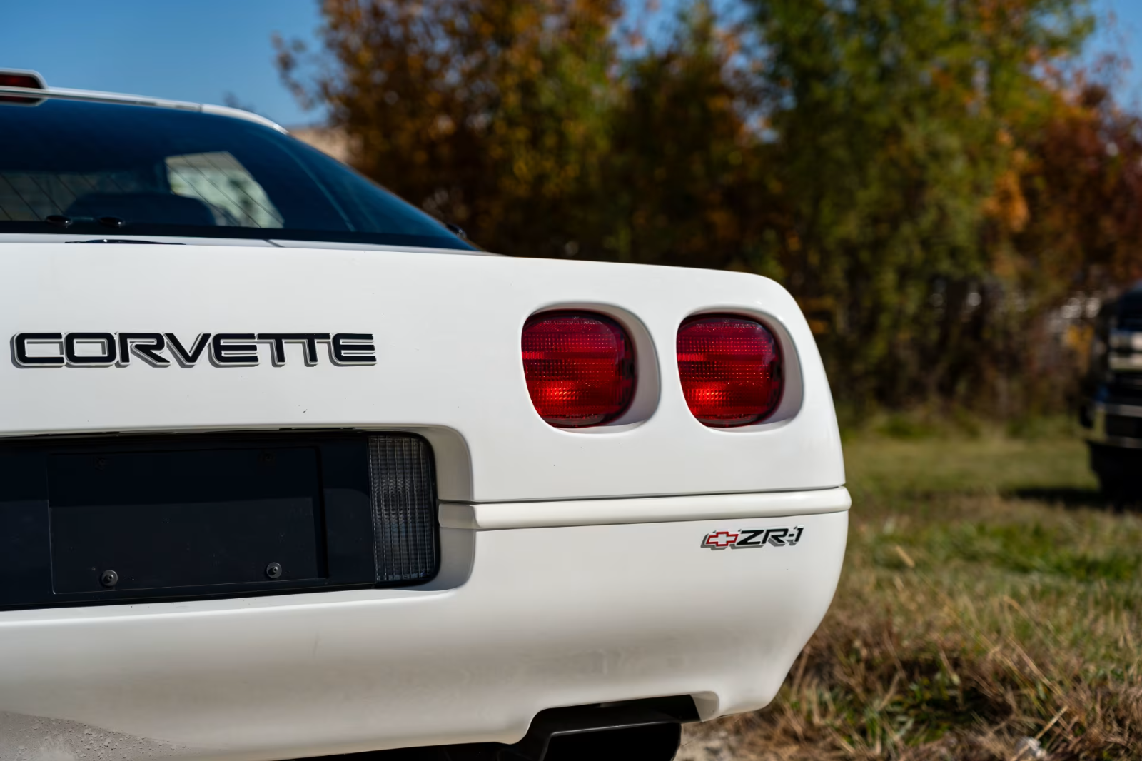 Chevrolet-Corvette-Coupe-1995-White-Black-61-7