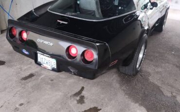 Chevrolet-Corvette-convertible-1981-178815-13