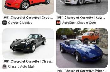 Chevrolet-Corvette-convertible-1981-178815-18