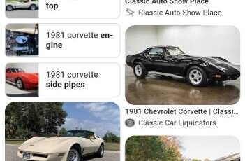 Chevrolet-Corvette-convertible-1981-178815-19