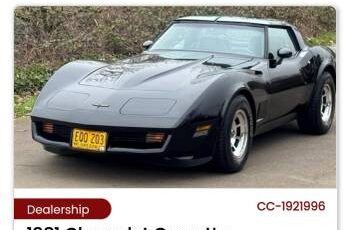 Chevrolet-Corvette-convertible-1981-178815-20