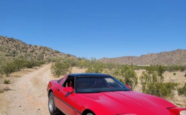 Chevrolet-Corvette-coupe-1985-red-115647-12