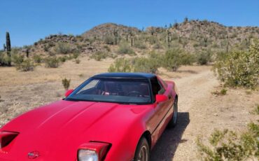 Chevrolet-Corvette-coupe-1985-red-115647-13