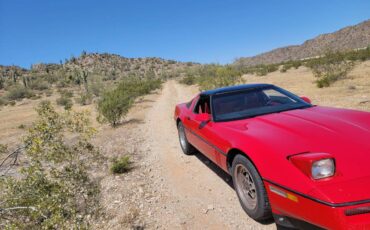 Chevrolet-Corvette-coupe-1985-red-115647-17