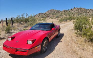 Chevrolet-Corvette-coupe-1985-red-115647-9