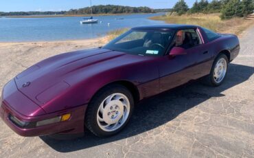 Chevrolet-Corvette-coupe-1995-purple-24140-4