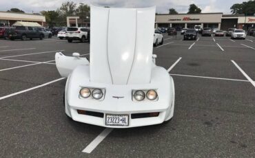 Chevrolet-Corvette-coupe-l82-1980-41738-11