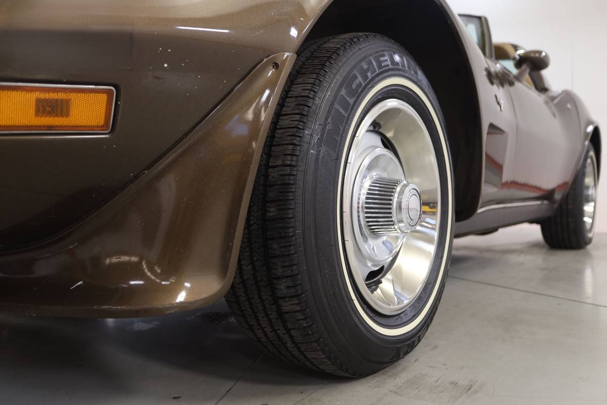 Chevrolet-Corvette-l82-1979-brown-149369-11