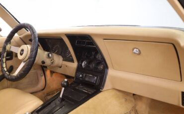 Chevrolet-Corvette-l82-1979-brown-149369-13