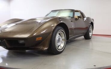 Chevrolet-Corvette-l82-1979-brown-149369-2