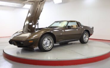 Chevrolet-Corvette-l82-1979-brown-149369-5