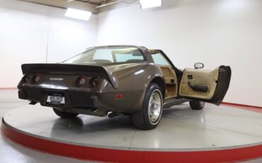 Chevrolet-Corvette-l82-1979-brown-149369-6