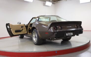 Chevrolet-Corvette-l82-1979-brown-149369-7