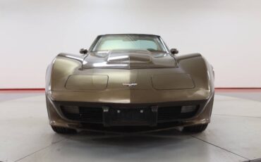 Chevrolet-Corvette-l82-1979-brown-149369-8