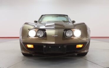 Chevrolet-Corvette-l82-1979-brown-149369-9