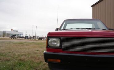 Chevrolet-Custom-Pickup-1989-Red-Red-194769-8