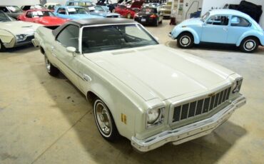 Chevrolet-El-Camino-1975-White-100446-1