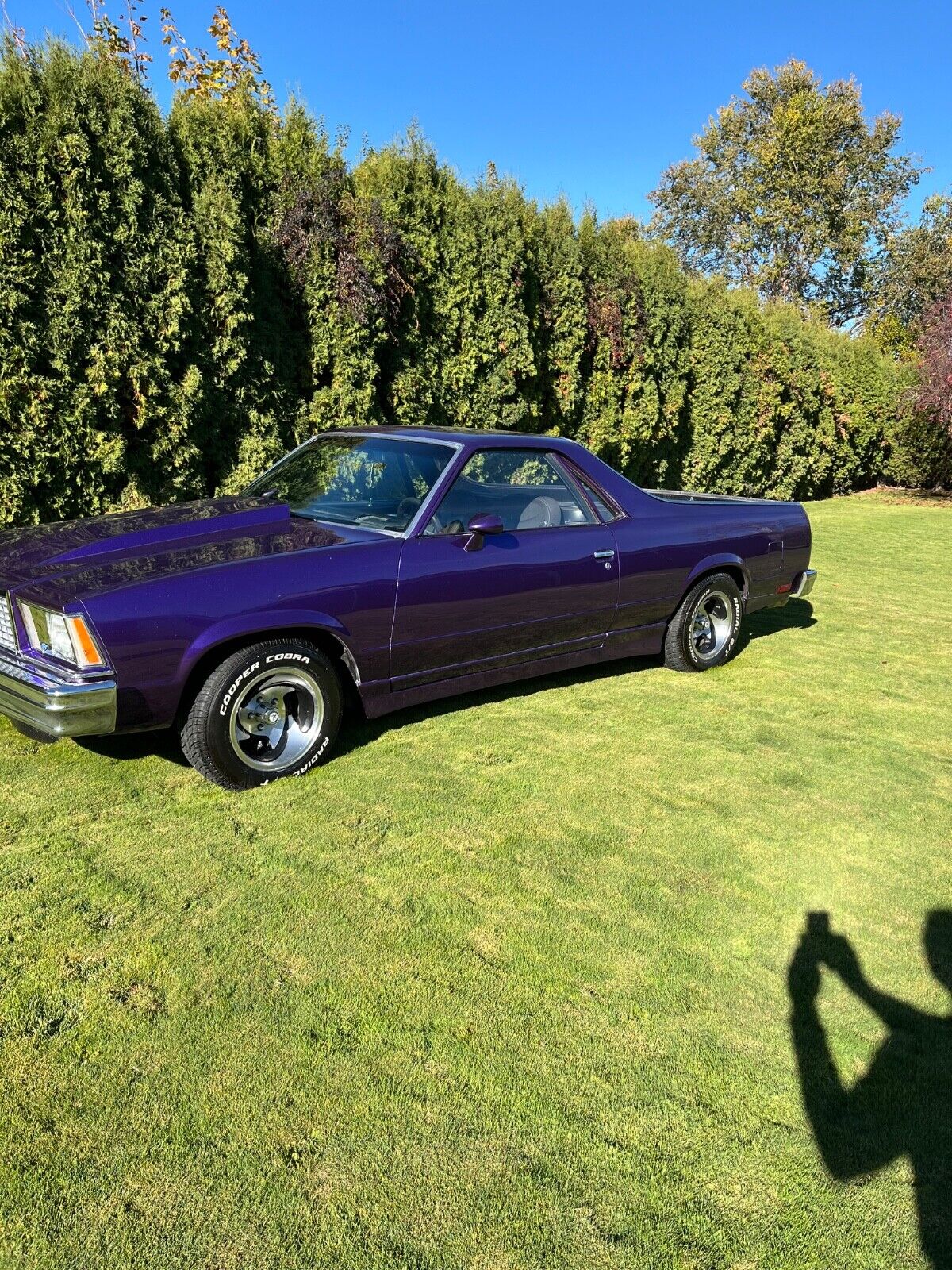 Chevrolet-El-Camino-1978-Purple-Black-96561-1