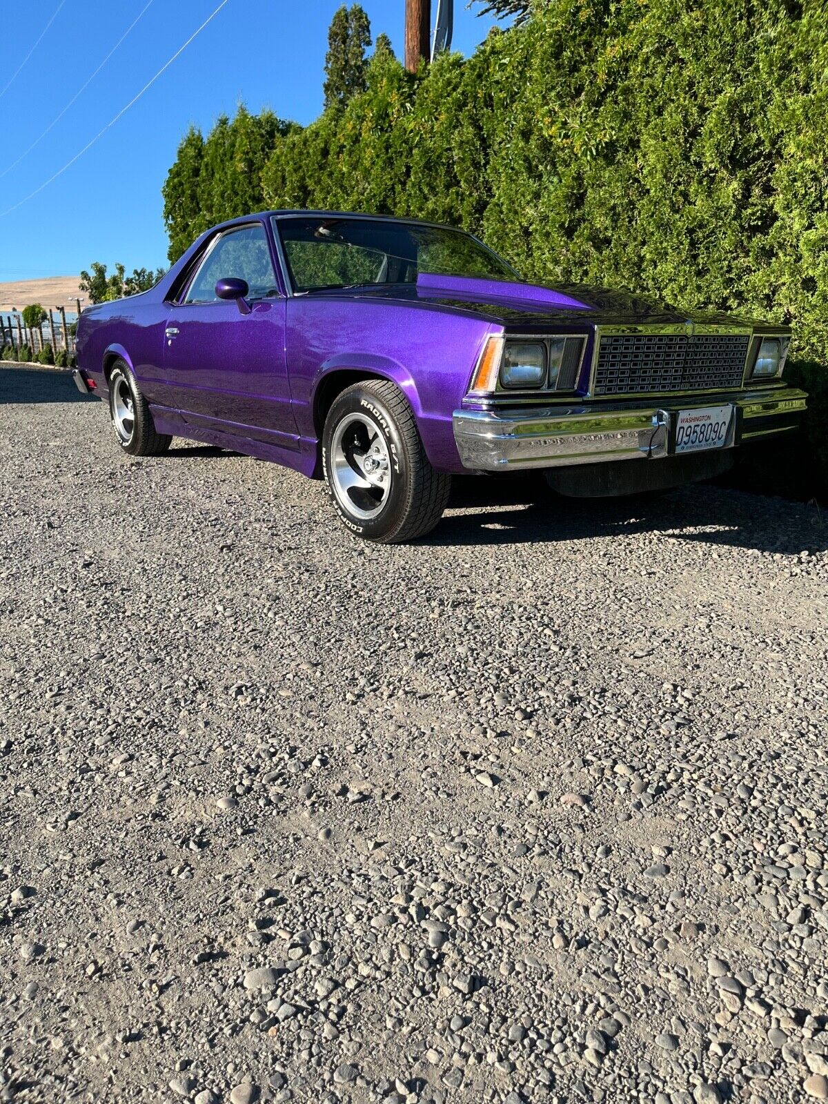 Chevrolet-El-Camino-1978-Purple-Black-96561-10