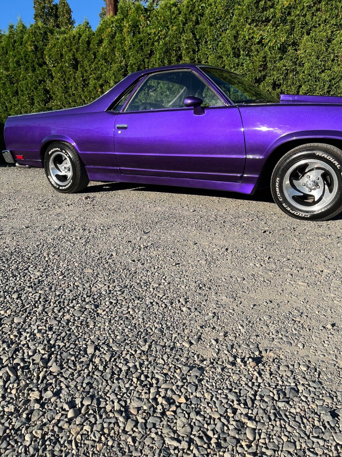 Chevrolet-El-Camino-1978-Purple-Black-96561-11