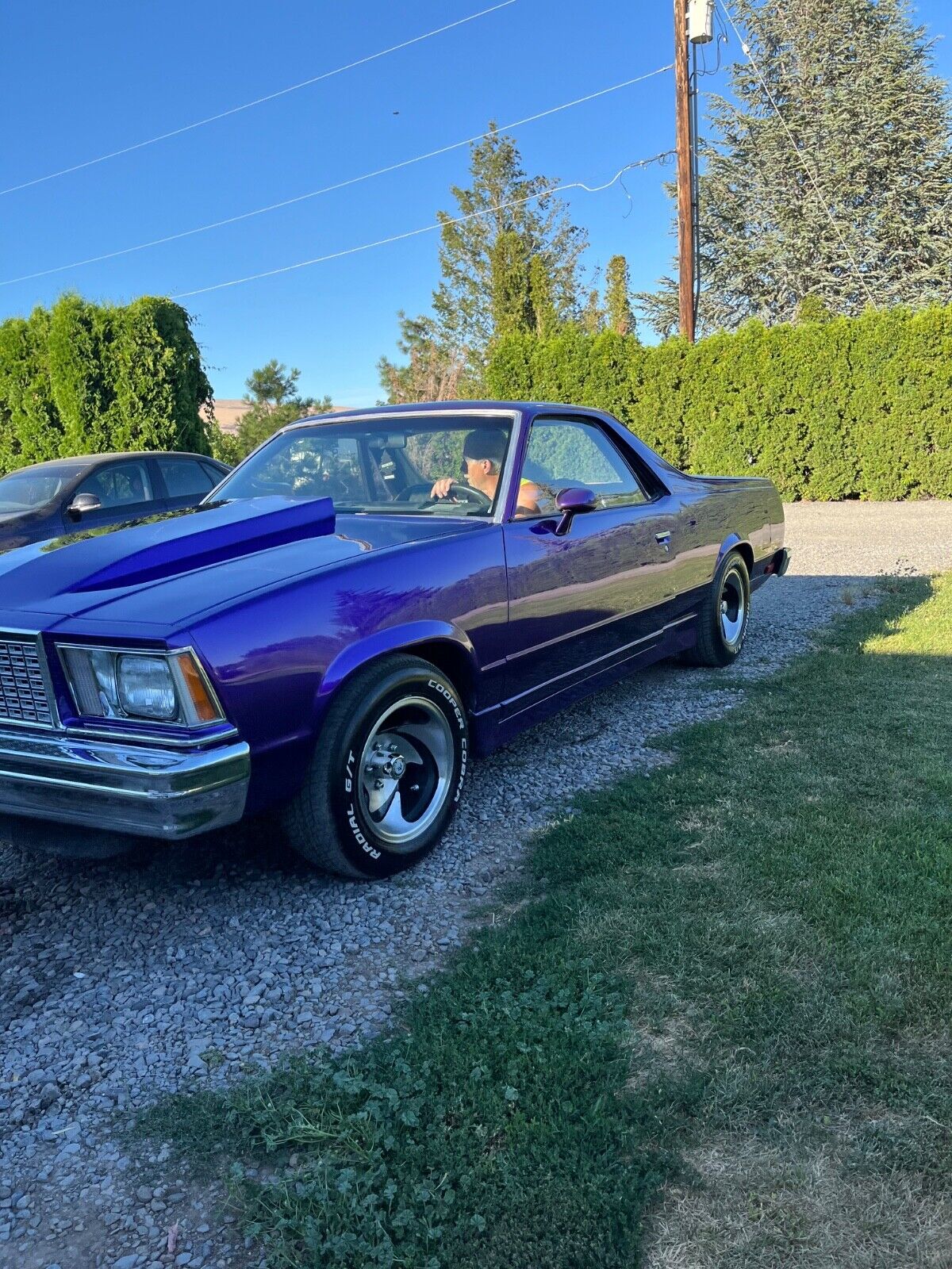 Chevrolet-El-Camino-1978-Purple-Black-96561-12