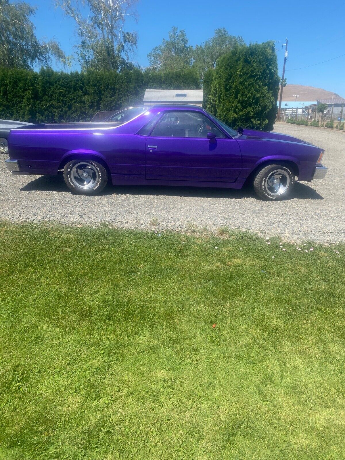 Chevrolet-El-Camino-1978-Purple-Black-96561-14