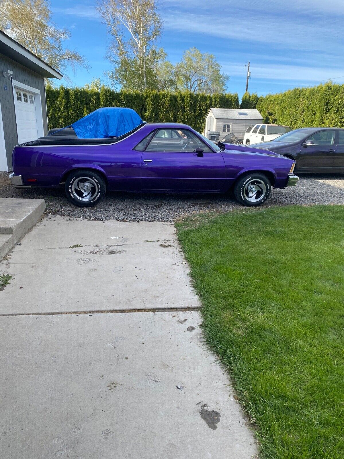 Chevrolet-El-Camino-1978-Purple-Black-96561-15