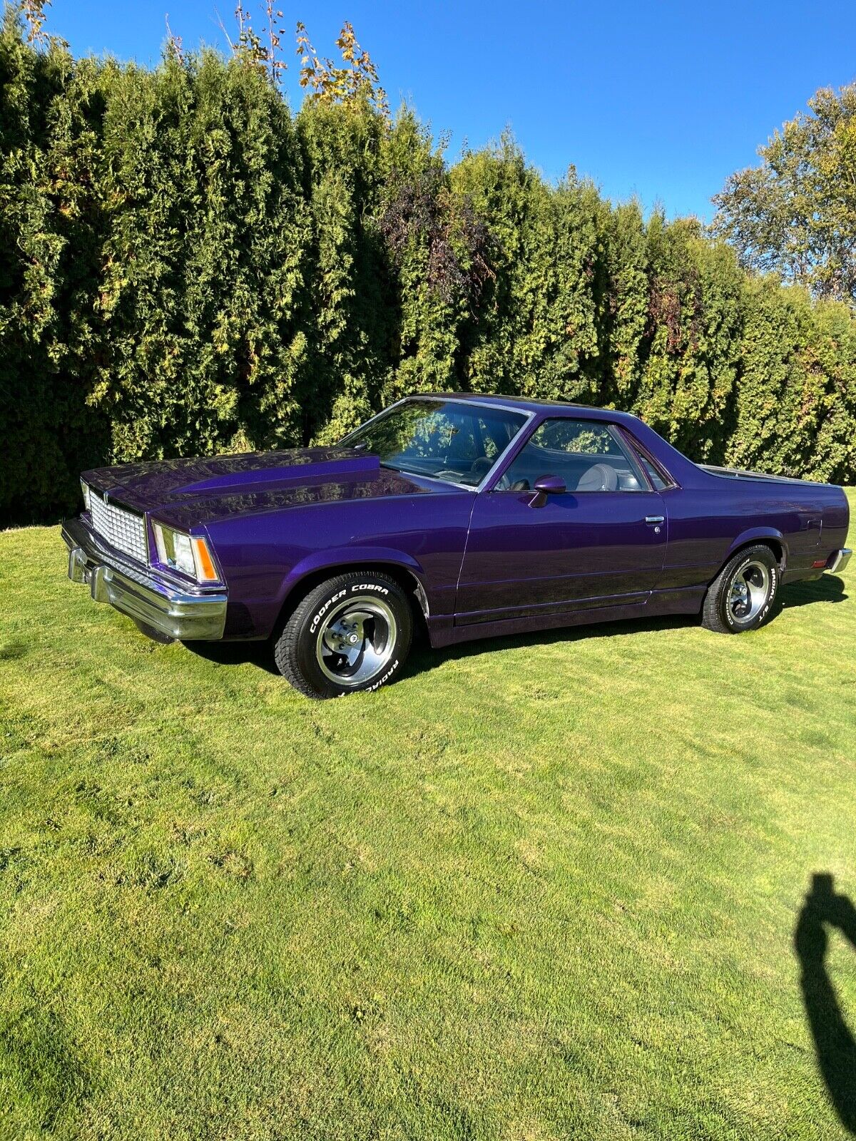 Chevrolet-El-Camino-1978-Purple-Black-96561-3