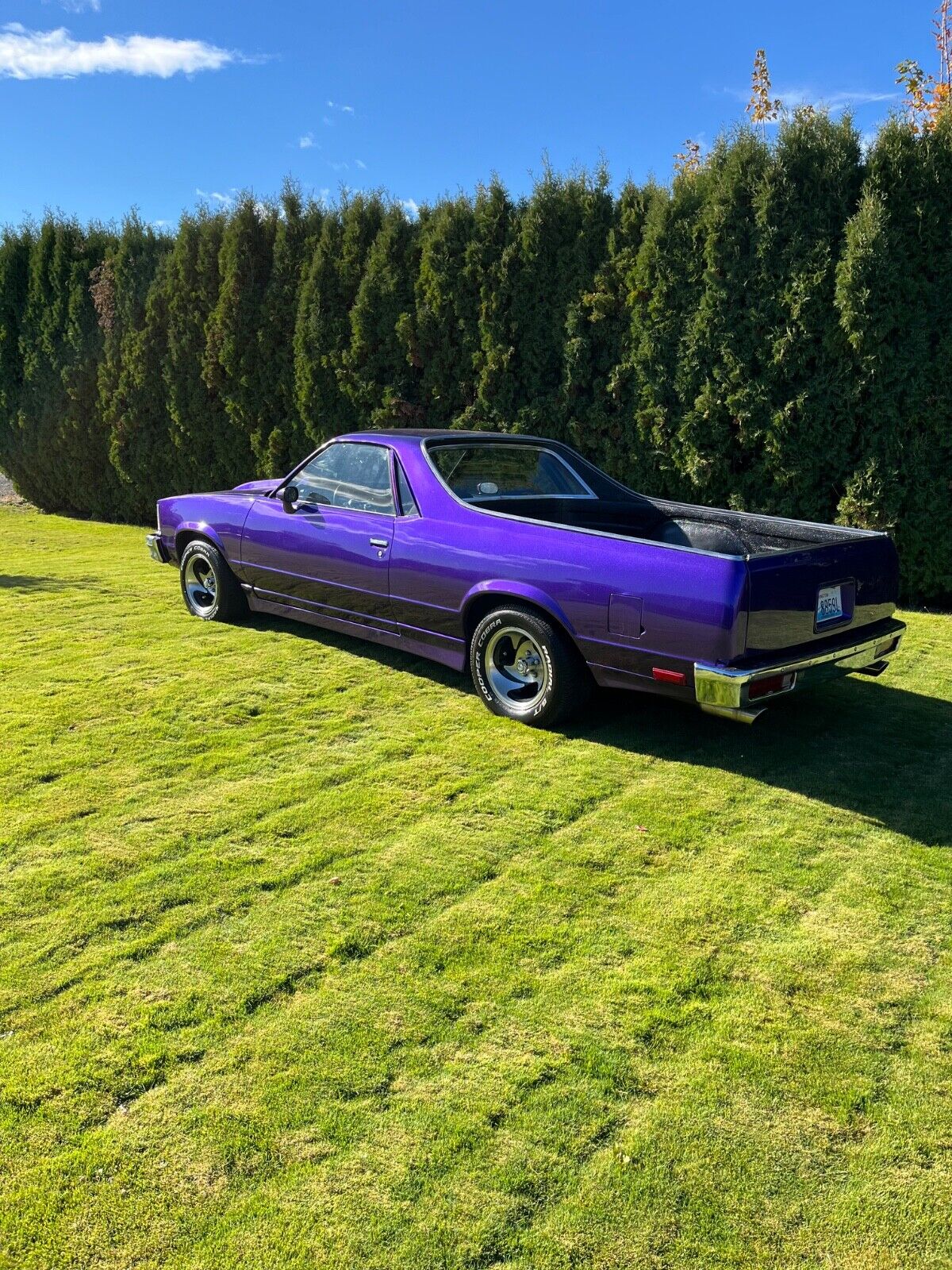 Chevrolet-El-Camino-1978-Purple-Black-96561-5