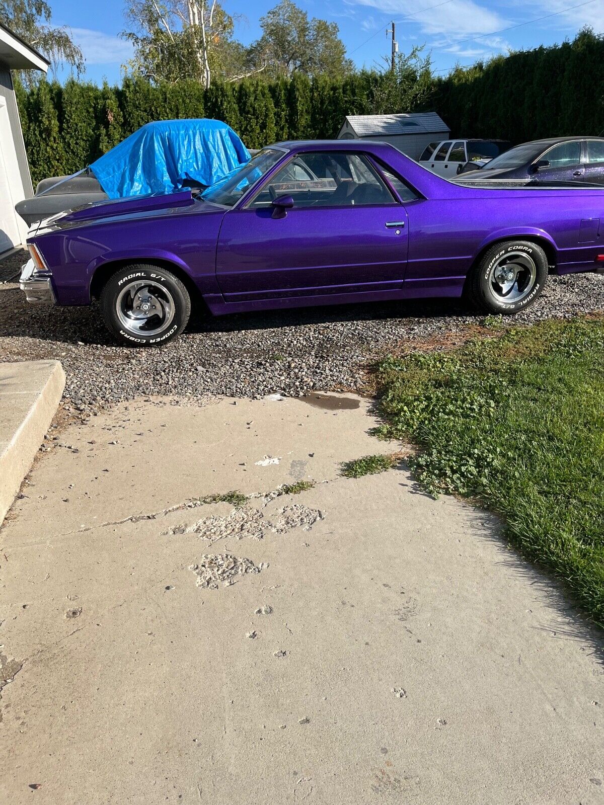 Chevrolet-El-Camino-1978-Purple-Black-96561-7