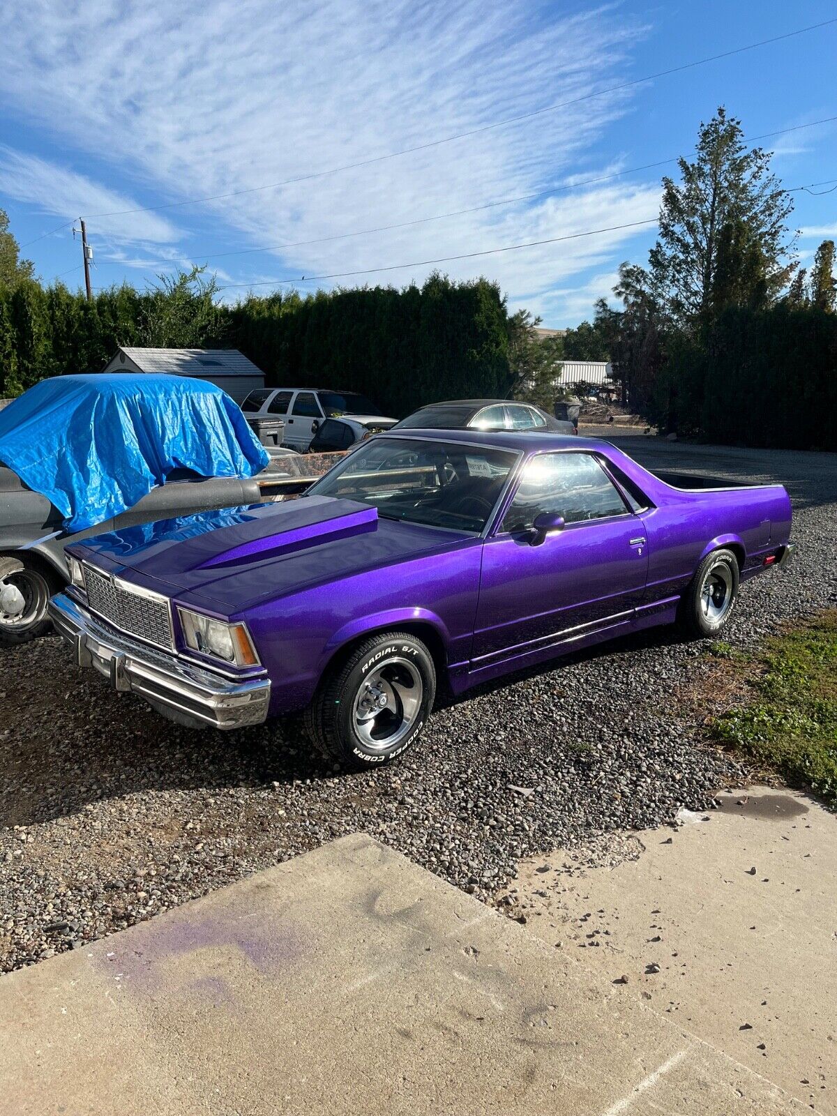 Chevrolet-El-Camino-1978-Purple-Black-96561-8