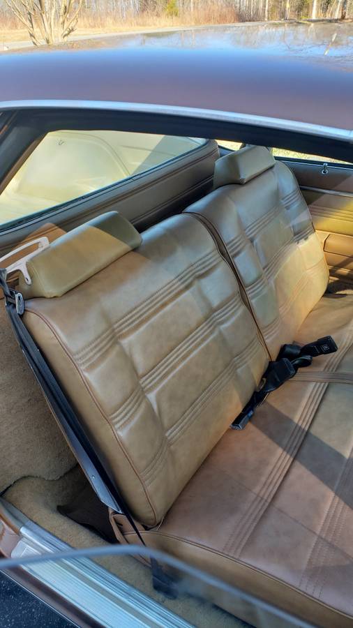 Chevrolet-El-camino-1979-135185-7