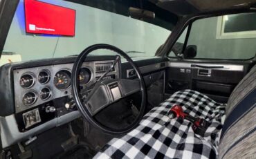 Chevrolet-K10-1984-142530-3