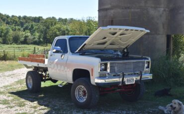 Chevrolet-K20-1977-white-1609-14