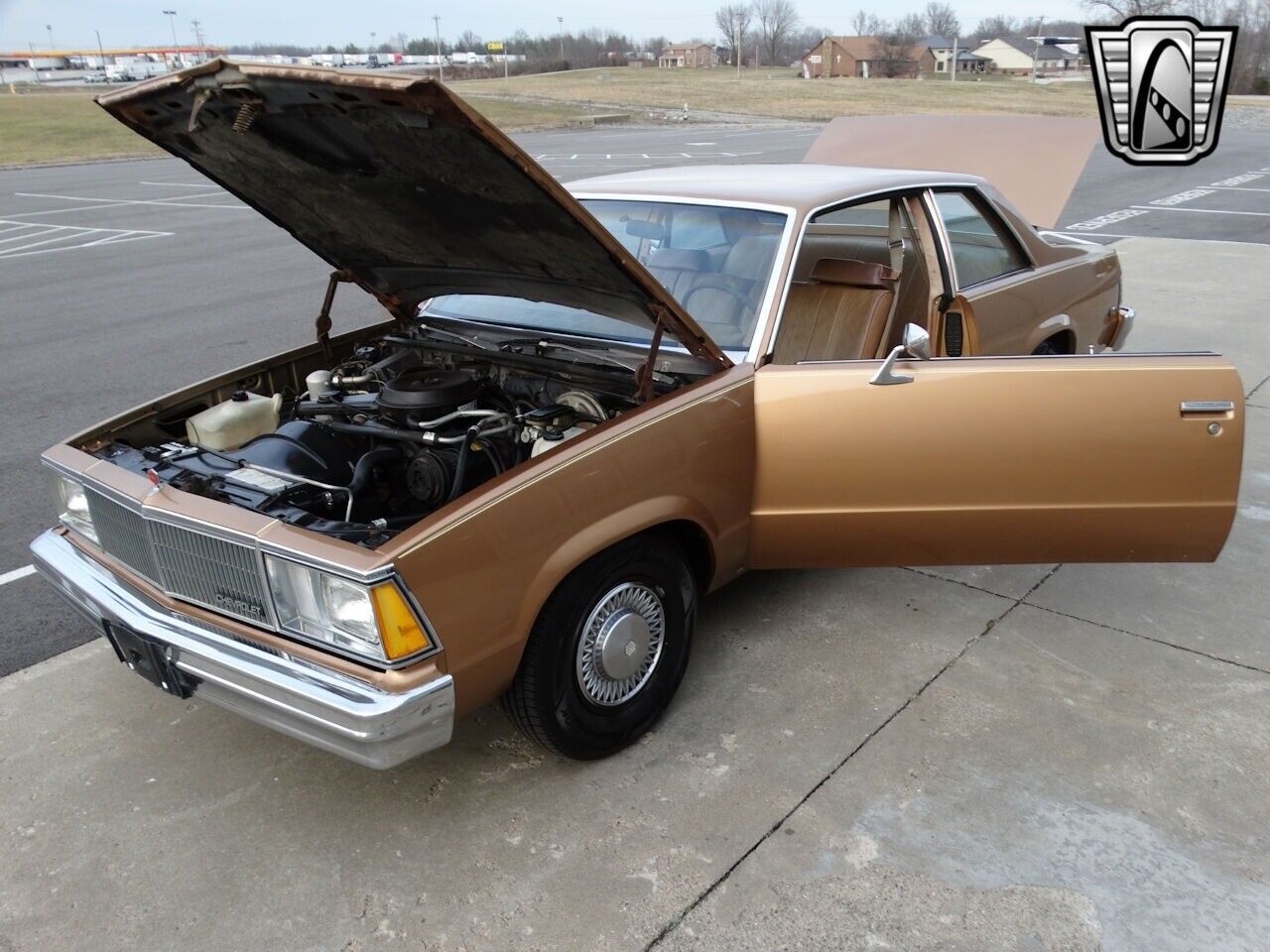 Chevrolet-Malibu-1980-Gold-Tan-65088-11