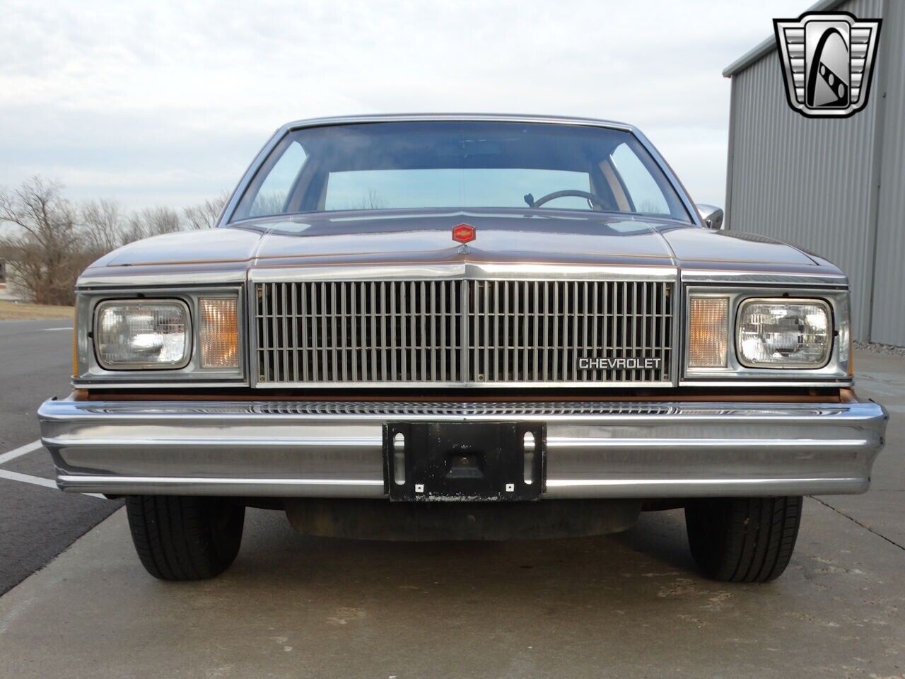 Chevrolet-Malibu-1980-Gold-Tan-65088-2