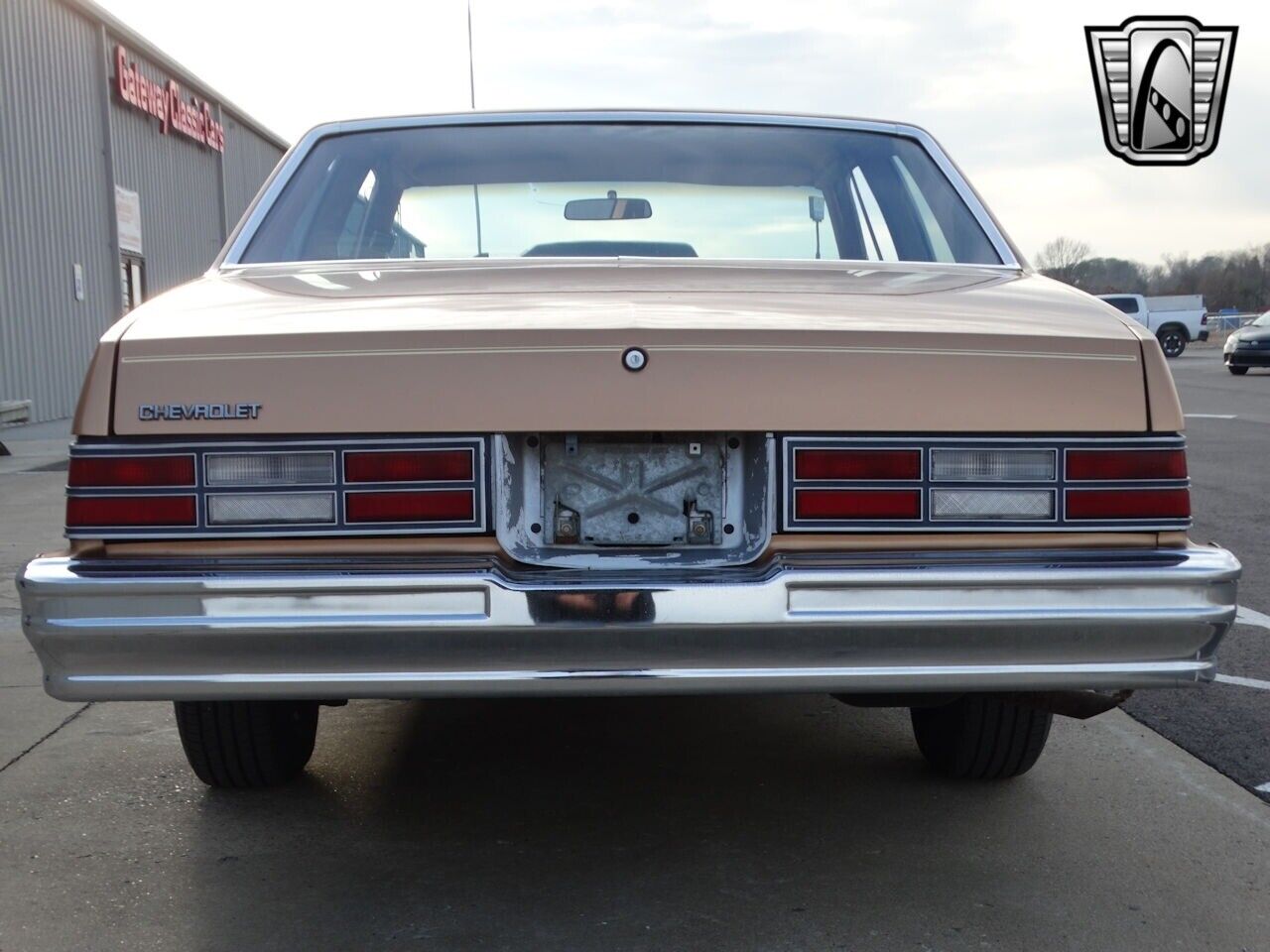 Chevrolet-Malibu-1980-Gold-Tan-65088-6