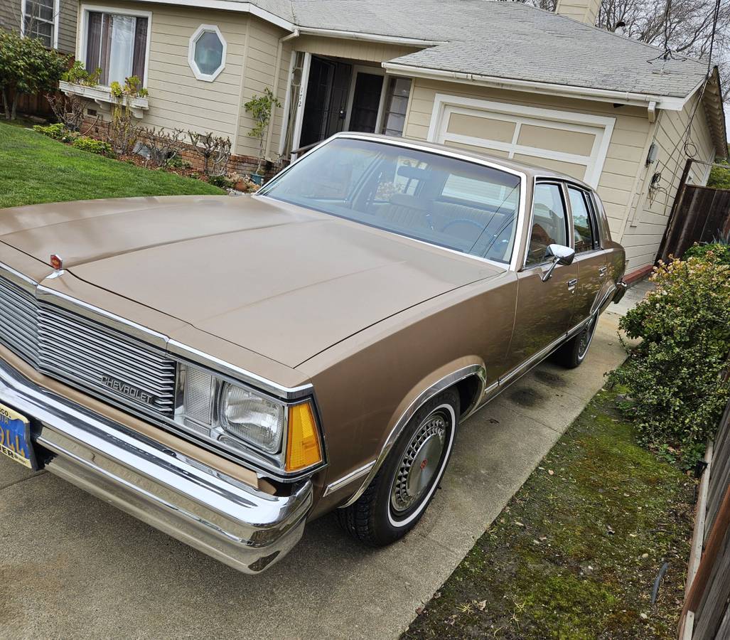 Chevrolet-Malibu-classic-1981-37873-2